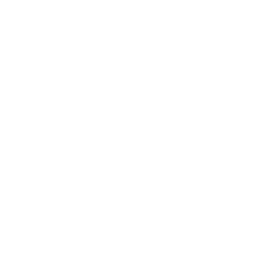 LCS Projects